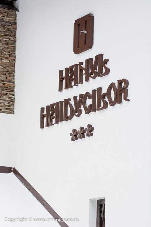 Hanul Haiducilor Obarsia-Lotrului Exterior foto